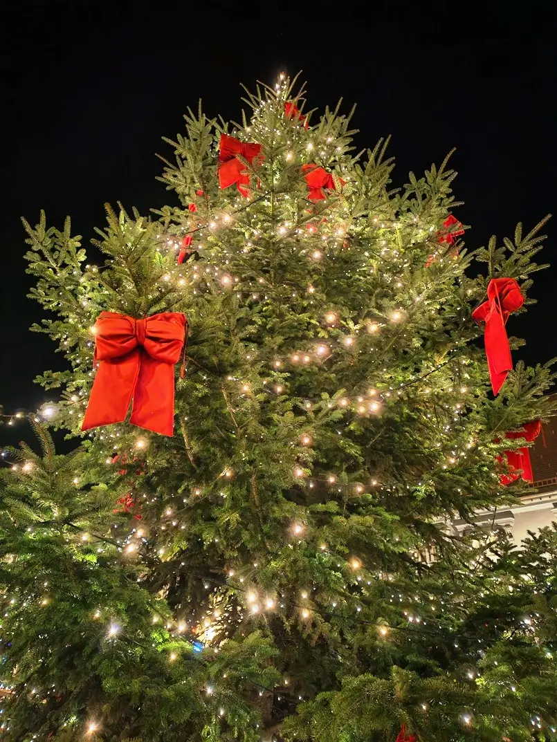 Christmas Tree in Samobor, Archi-living.com