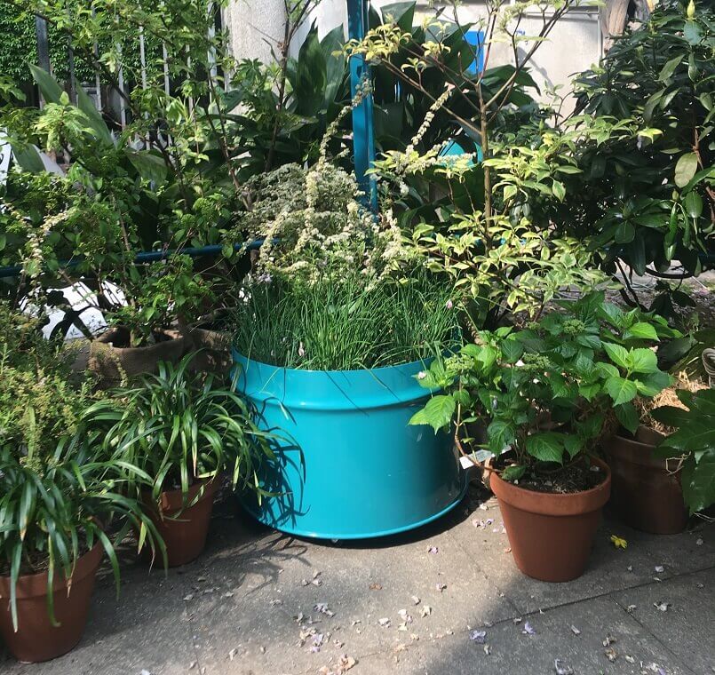 flower pot made from barrel,terrace design ideas,eco friendly garden decorations,innovative pots for plants,plant pots from recycled materials,