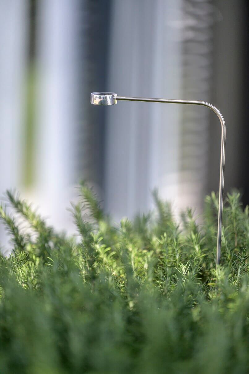 how to light plants outdoors,garden lighting ideas,