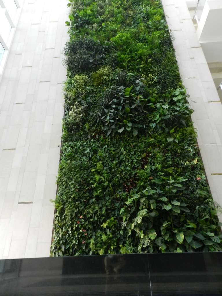 tallest indoor vertical garden in uae,beautiful vertical garden ideas,bring greenery in building ideas,sundar italia gardens,vertical garden indoor plants,