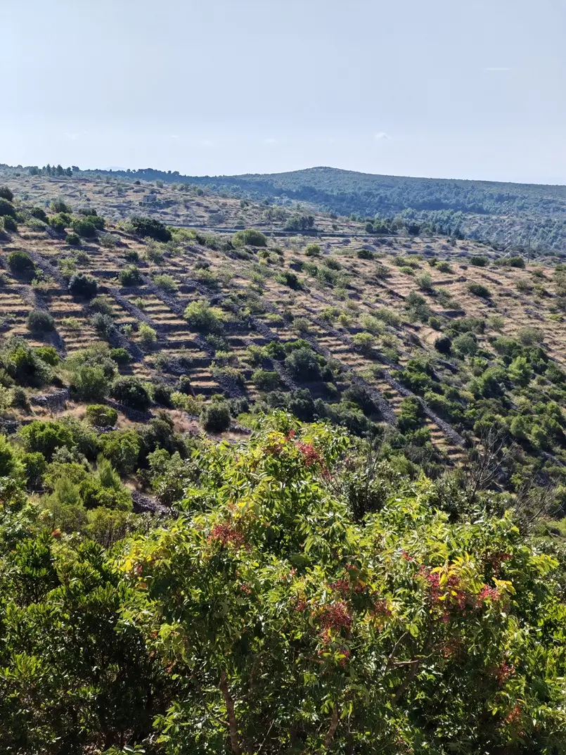 Dry Stone Walls “Suhozidi” in Croatian, Archi-living.com