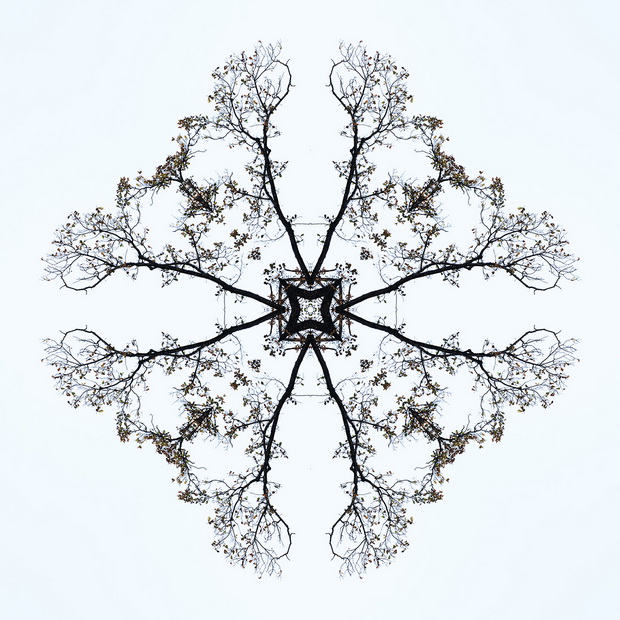 Flora-4_resize.jpg