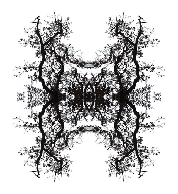 Flora-7_resize.jpg