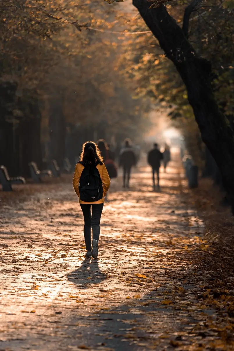 Golden Hour Photography Tips for Beginner Mobile Photographers, Archi-living.com