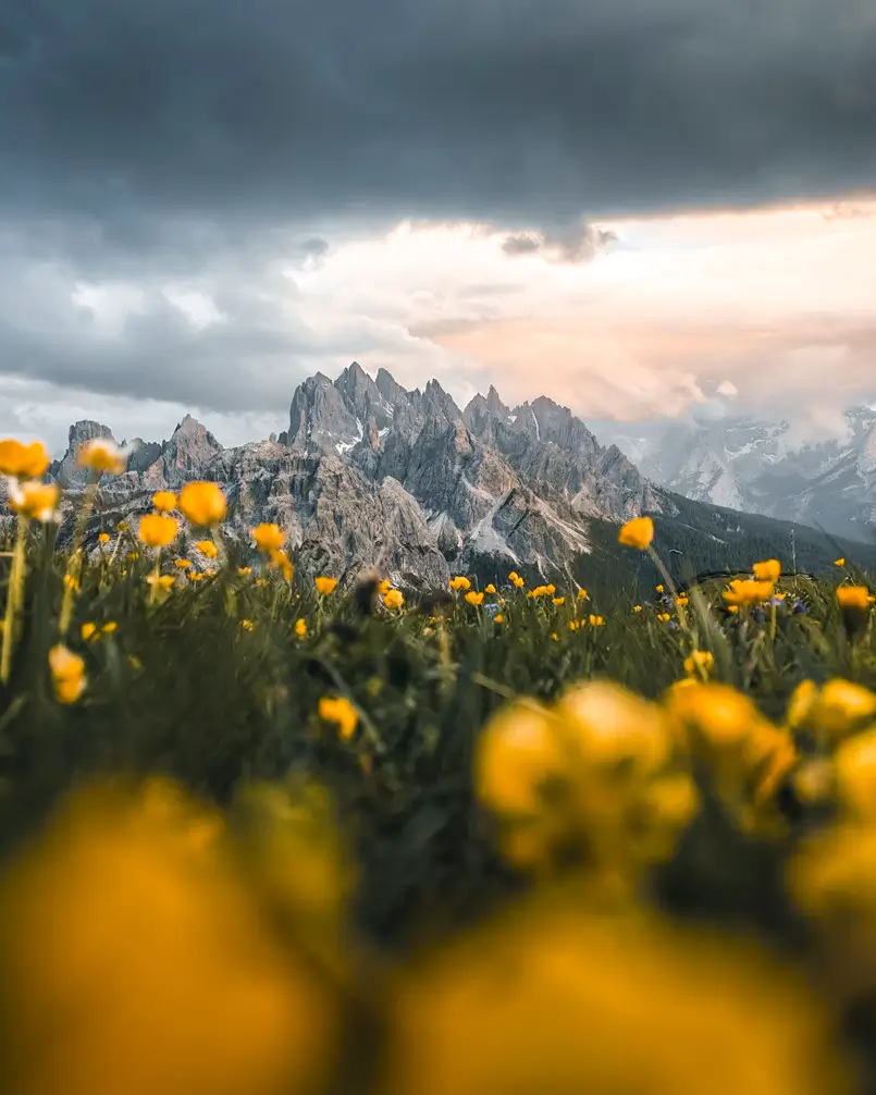 Golden Hour Photography Tips for Beginner Mobile Photographers, Archi-living.com
