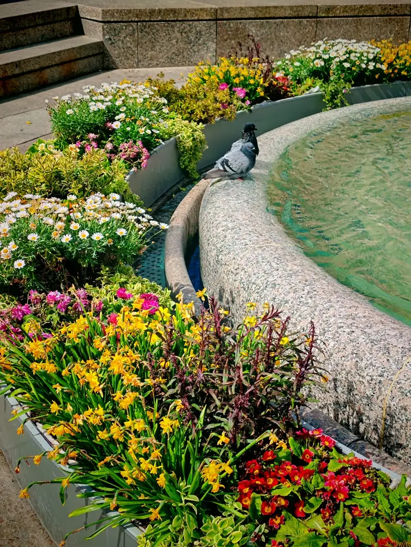 Manduševac Well on Ban Jelačić Square, Archi-living.com