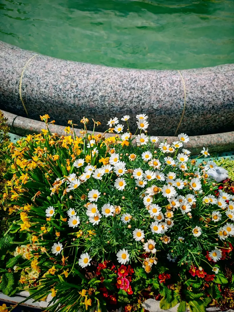 Manduševac Well on Ban Jelačić Square, Archi-living.com