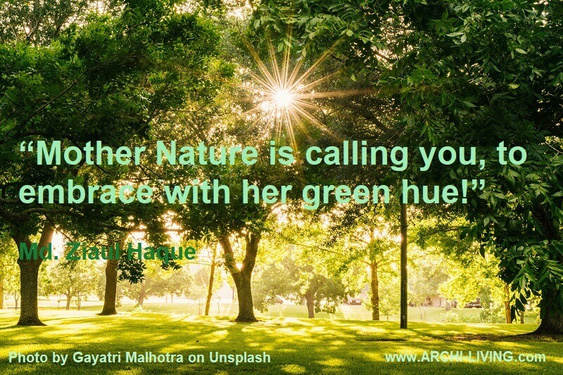 Mother Nature quotes in english,beautiful natural scenery images,sunshine in the woods image,green color quotes and sayings,photo quotes in english about green colour,