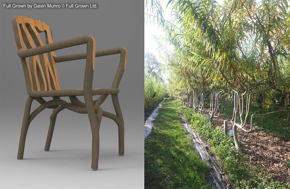 Natural Furnishing, Wild style home, Raw style, TrendLab, Natural Elements