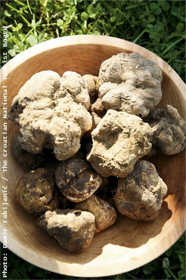 Truffles,istrian cuisine,istrian food,croatian delicacies,croatian food,