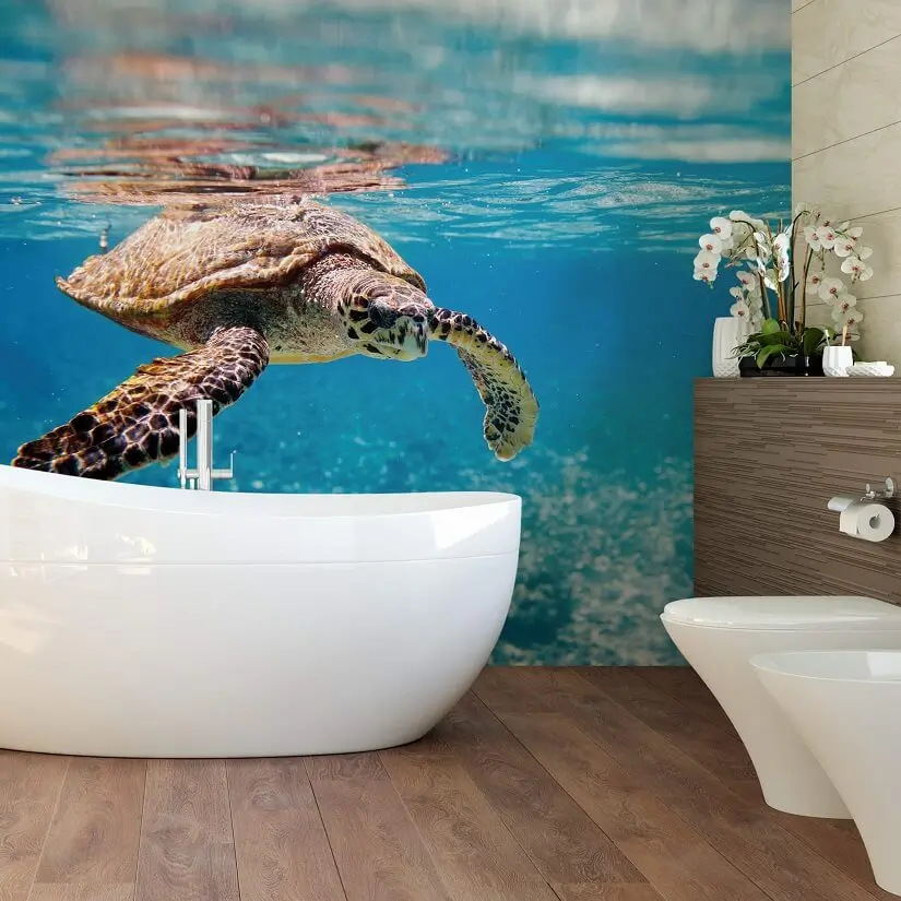 KL Wall Art, Wallpaper Turtle, Archi-living.com