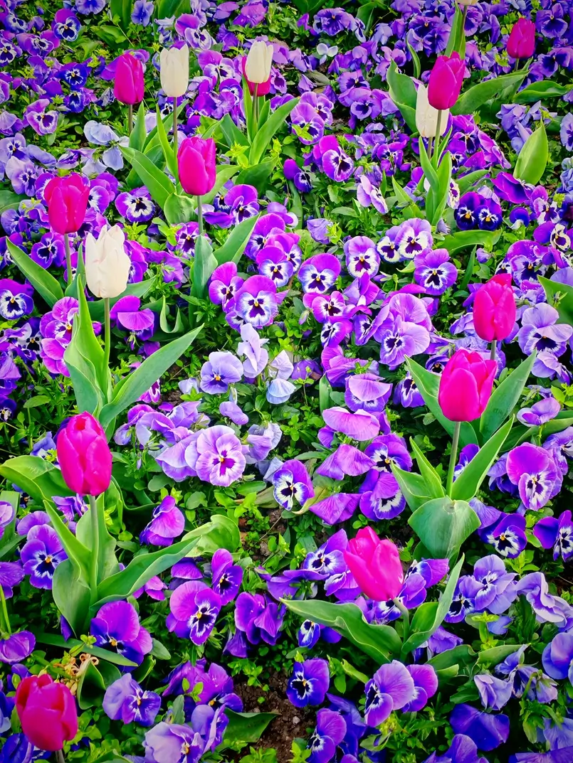 What to See in Zagreb: Picturesque Floral Scenery throughout Croatia’s Capital, Archi-living.com
