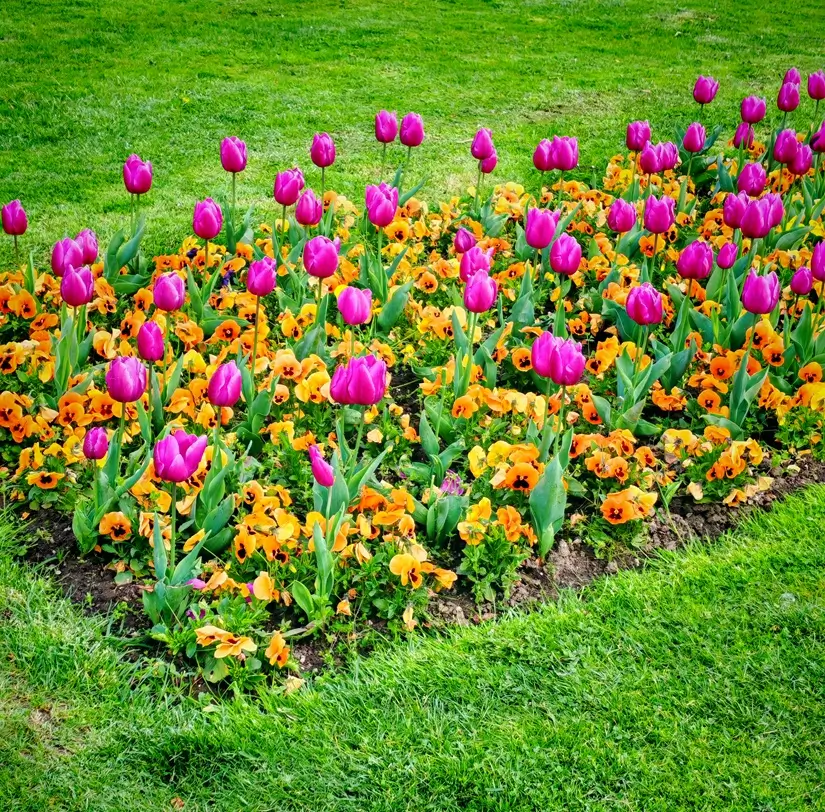 What to See in Zagreb: The Floral Side of Croatia’s Capital, Archi-living.com