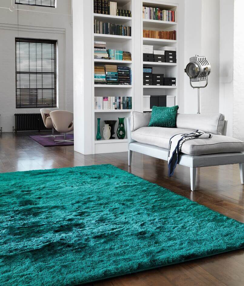 green interior rug,green rug living room,how to choose rug for living room,living room rug ideas,how to select rug style,