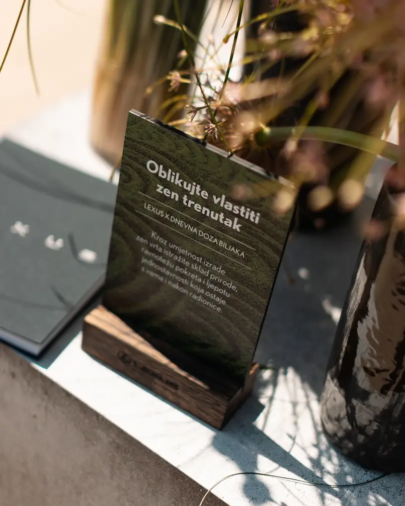 Dnevna doza biljaka (Daily Dose of Plants) and Lexus, mini Zen garden creation workshop, Archi-living.com