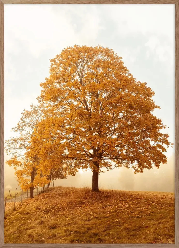 autumn wall art for bedroom, archi-living.com