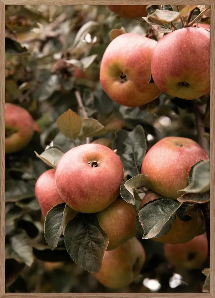 red apple poster, archi-living.com